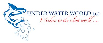 fish tank manufacturing